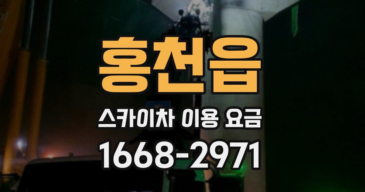 홍천읍 스카이차 이용 요금