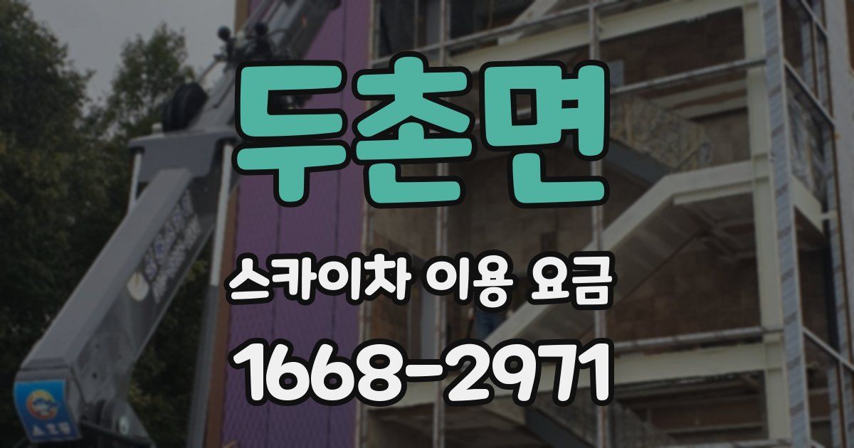 두촌면 스카이차 이용 요금