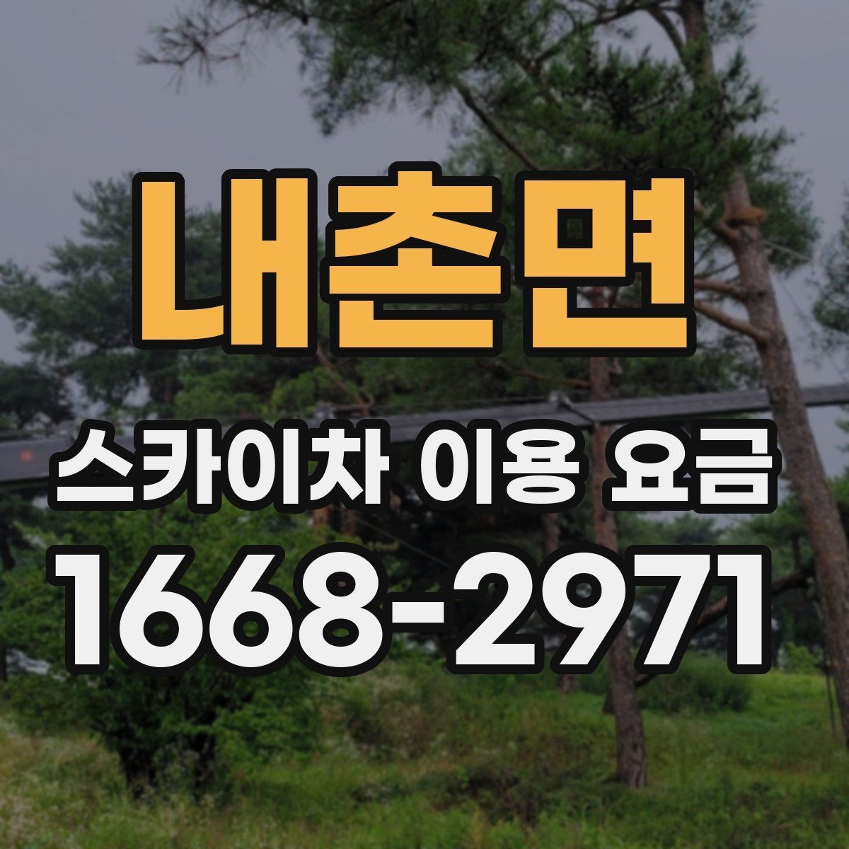 내촌면 스카이차 이용 요금 계산할 때 자주 놓치는 부분