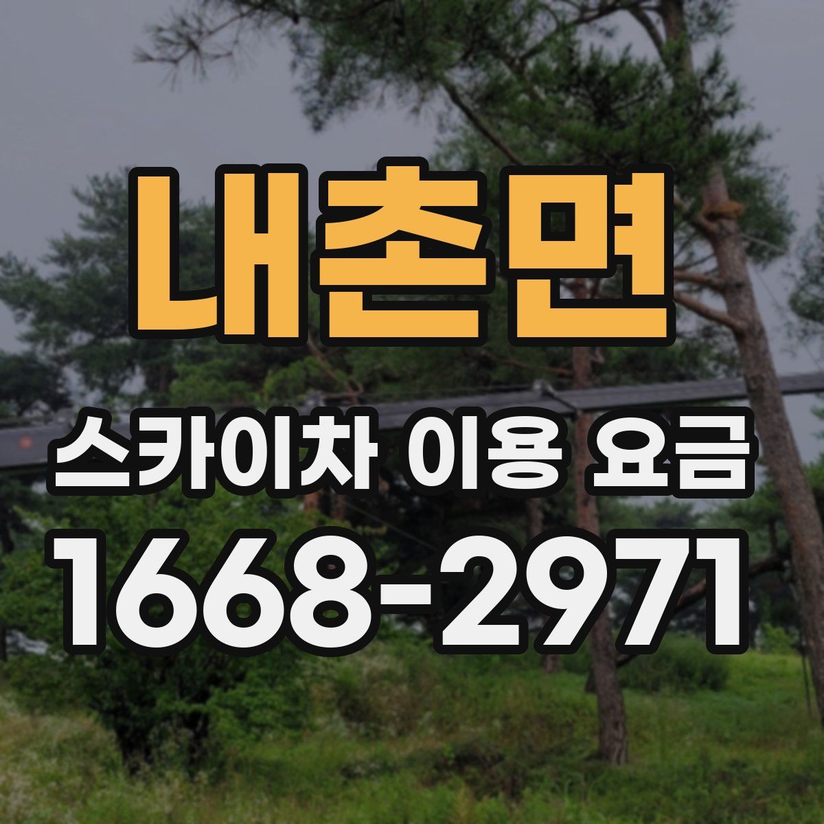 내촌면 스카이차 이용 요금