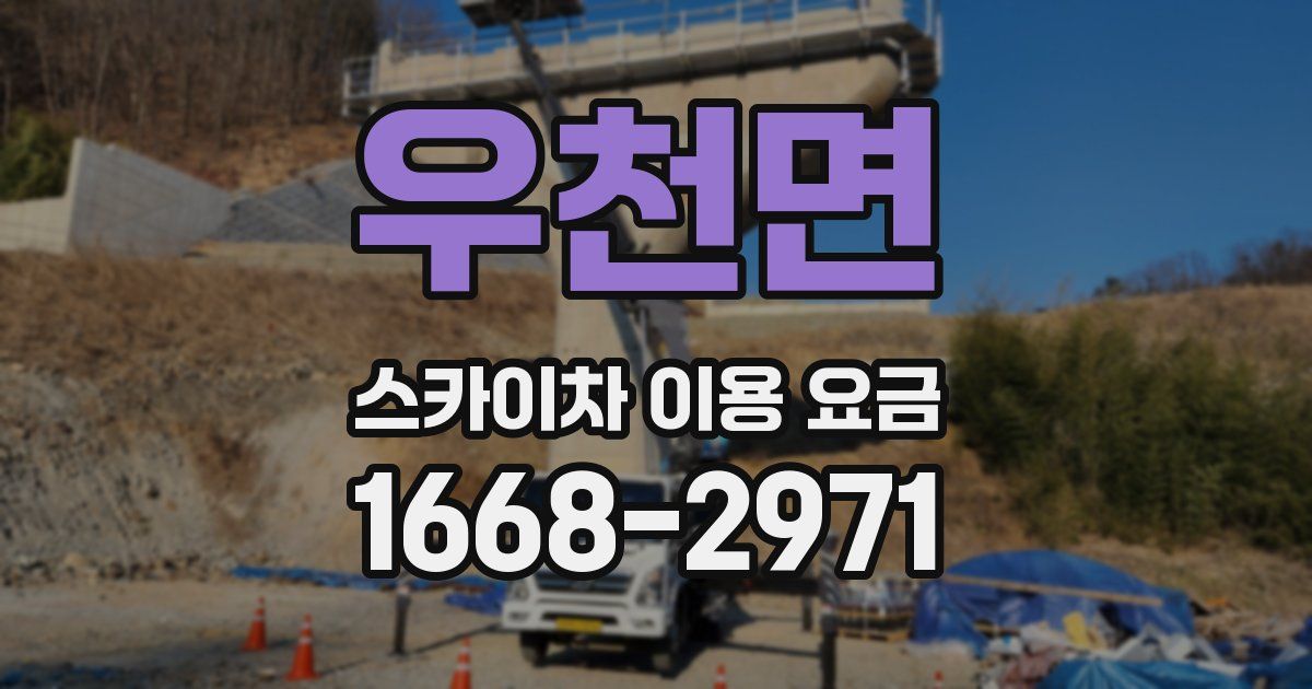 우천면 스카이차 이용 요금