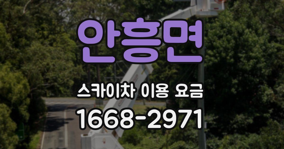 안흥면 스카이차 이용 요금