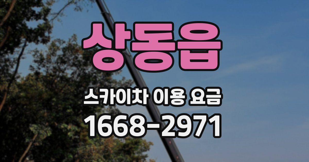 상동읍 스카이차 이용 요금
