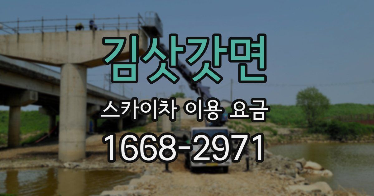 김삿갓면 스카이차 이용 요금