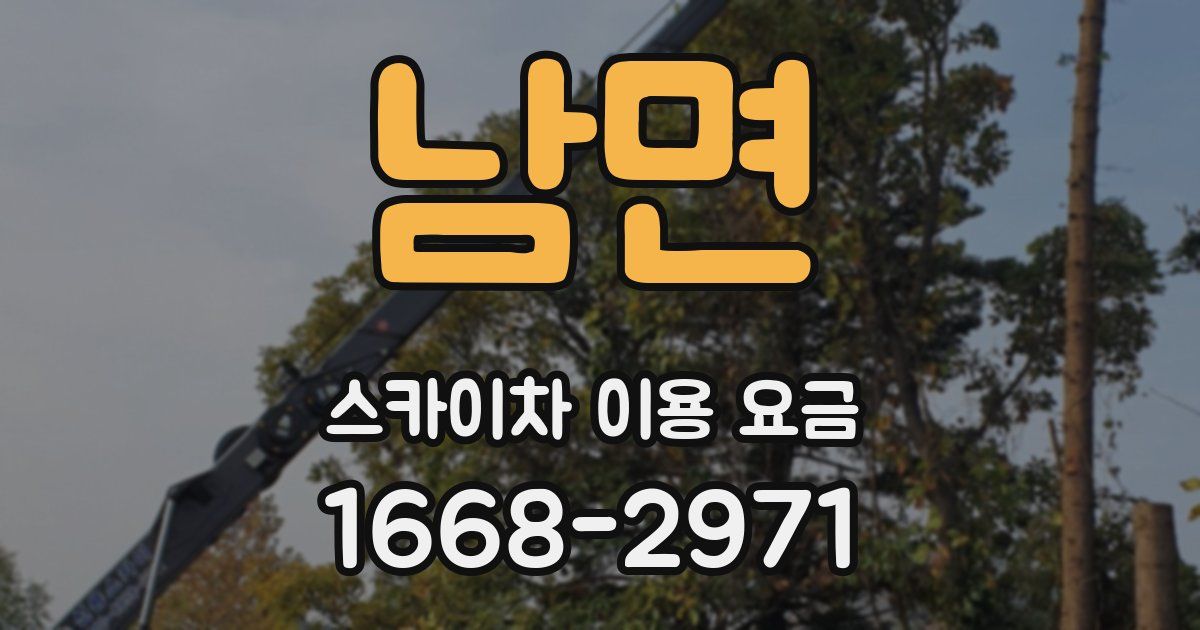 남면 스카이차 이용 요금