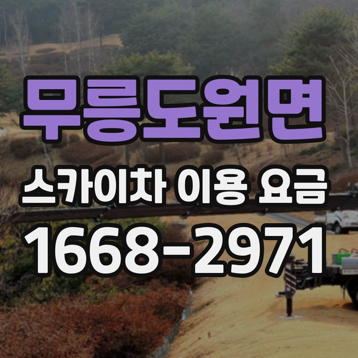 무릉도원면 스카이차 이용 요금