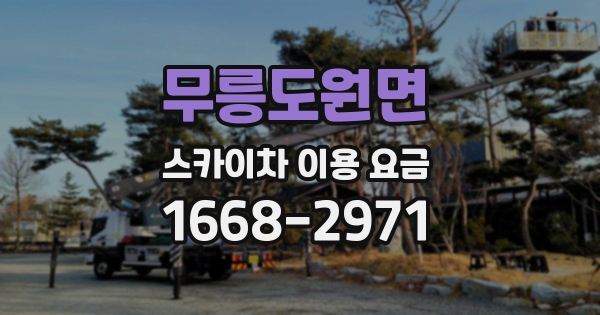 무릉도원면 스카이차 이용 요금
