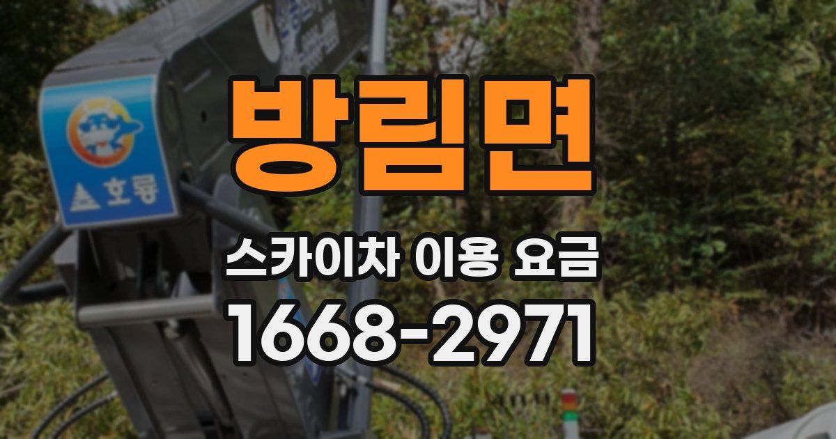 방림면 스카이차 이용 요금