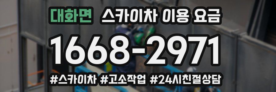 대화면 스카이차 이용 요금