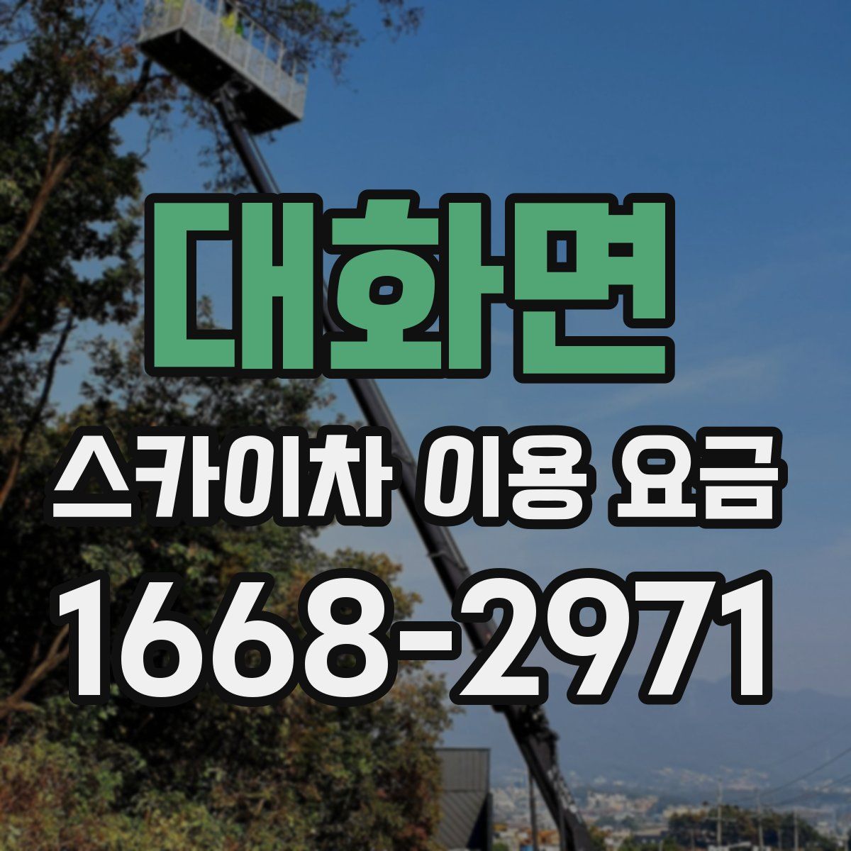 대화면 스카이차 이용 요금