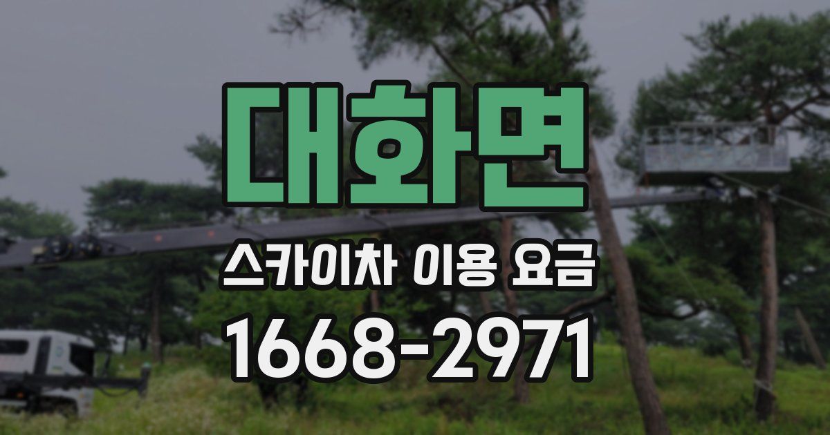 대화면 스카이차 이용 요금