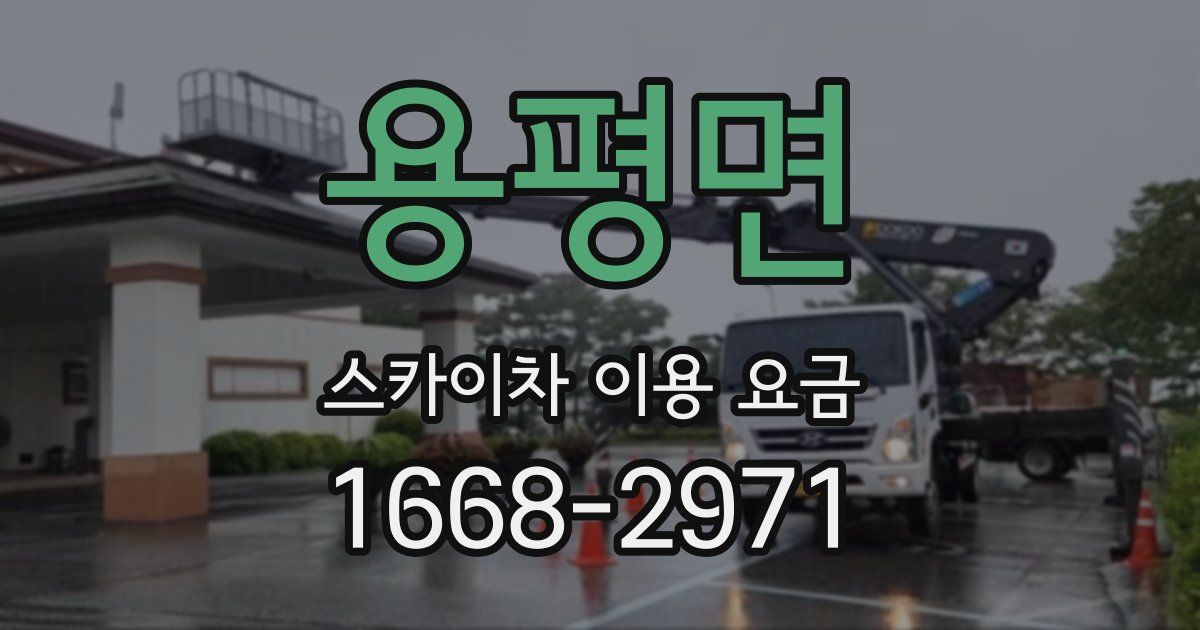 용평면 스카이차 이용 요금