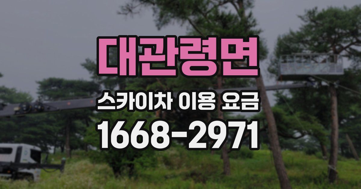 대관령면 스카이차 이용 요금