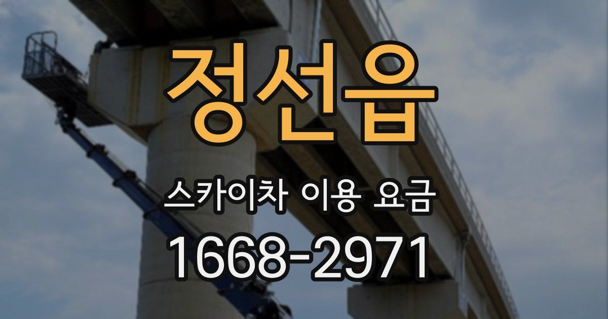 정선읍 스카이차 이용 요금