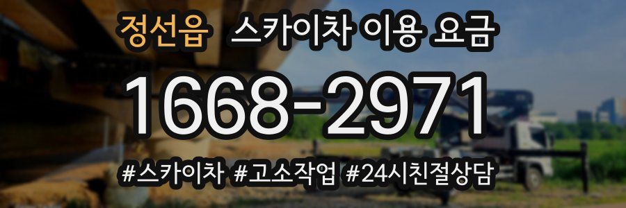정선읍 스카이차 이용 요금