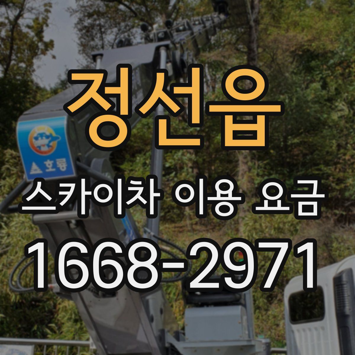 정선읍 스카이차 이용 요금