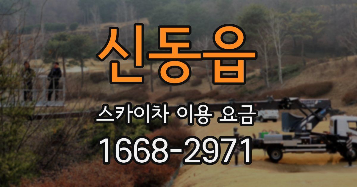 신동읍 스카이차 이용 요금