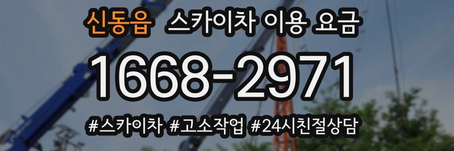 신동읍 스카이차 이용 요금