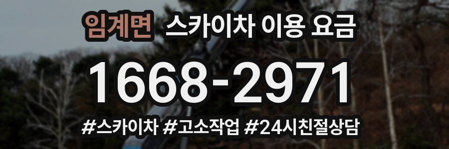 임계면 스카이차 이용 요금