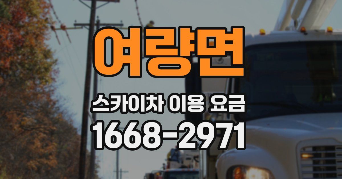 여량면 스카이차 이용 요금