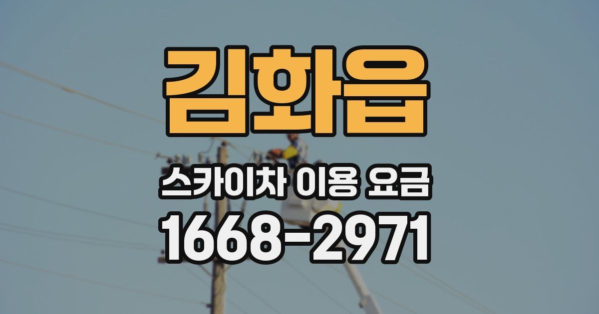 김화읍 스카이차 이용 요금