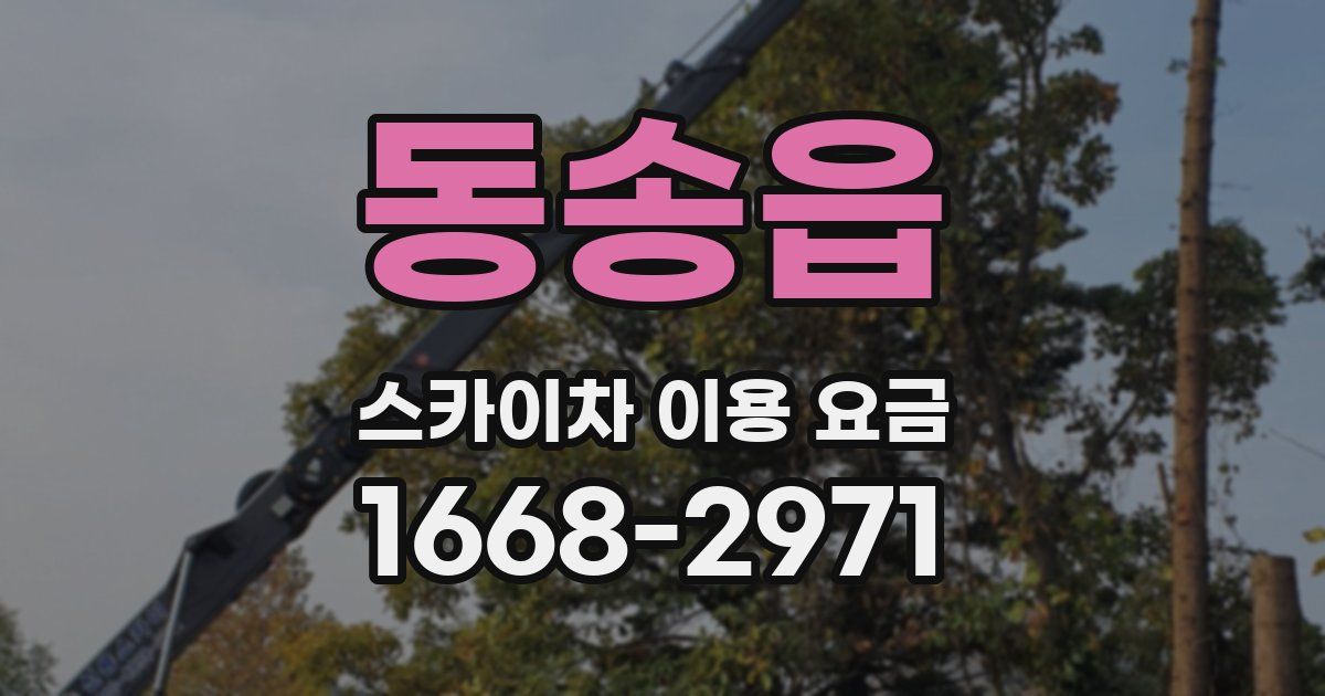 동송읍 스카이차 이용 요금
