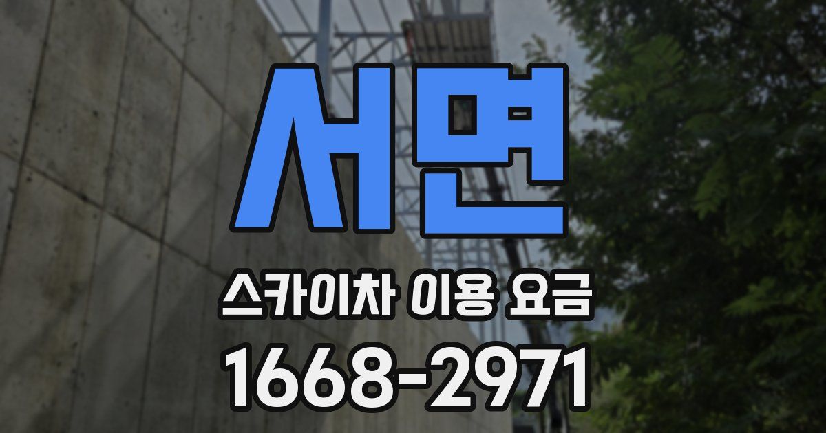 서면 스카이차 이용 요금