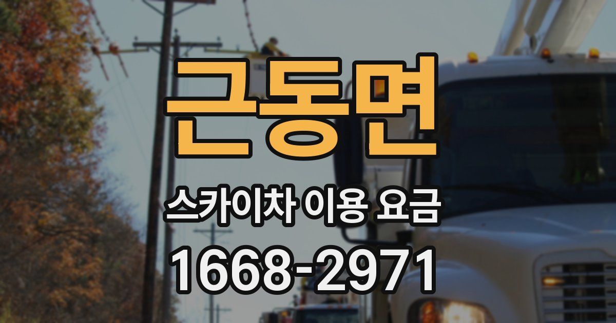 근동면 스카이차 이용 요금