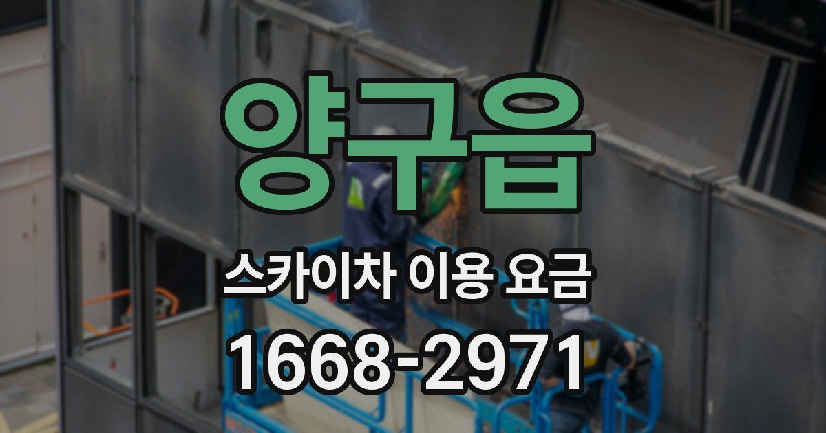 양구읍 스카이차 이용 요금