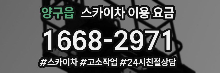 양구읍 스카이차 이용 요금