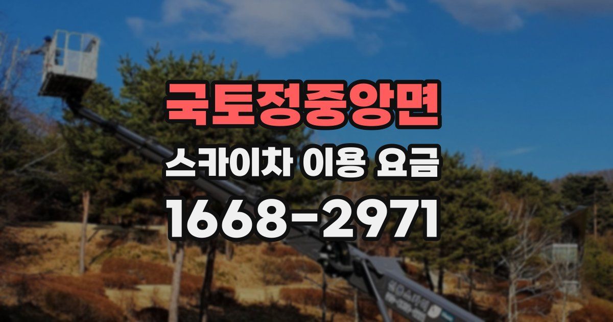 국토정중앙면 스카이차 이용 요금