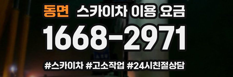 동면 스카이차 이용 요금