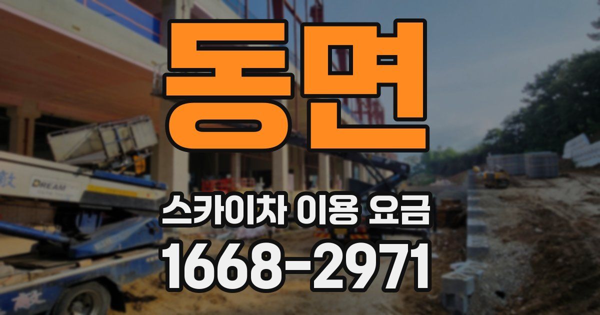동면 스카이차 이용 요금
