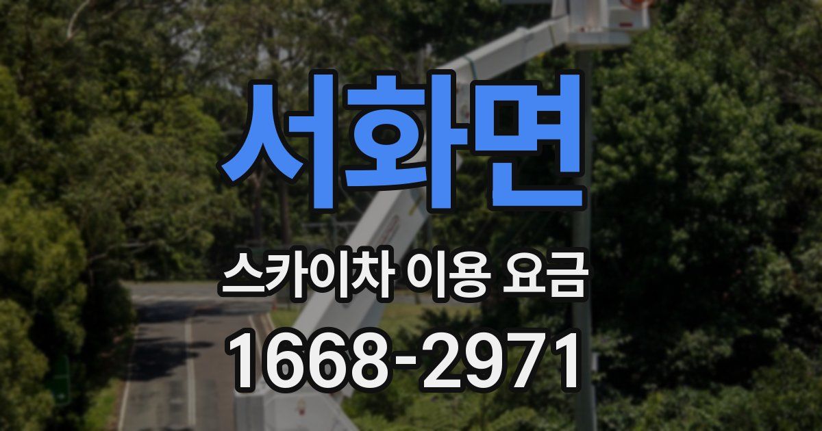 서화면 스카이차 이용 요금