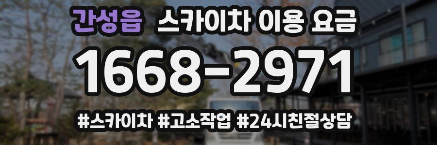 간성읍 스카이차 이용 요금