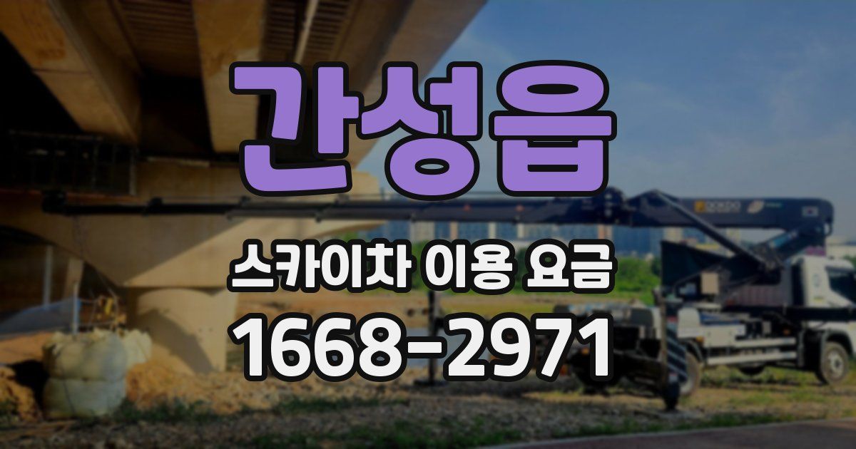 간성읍 스카이차 이용 요금