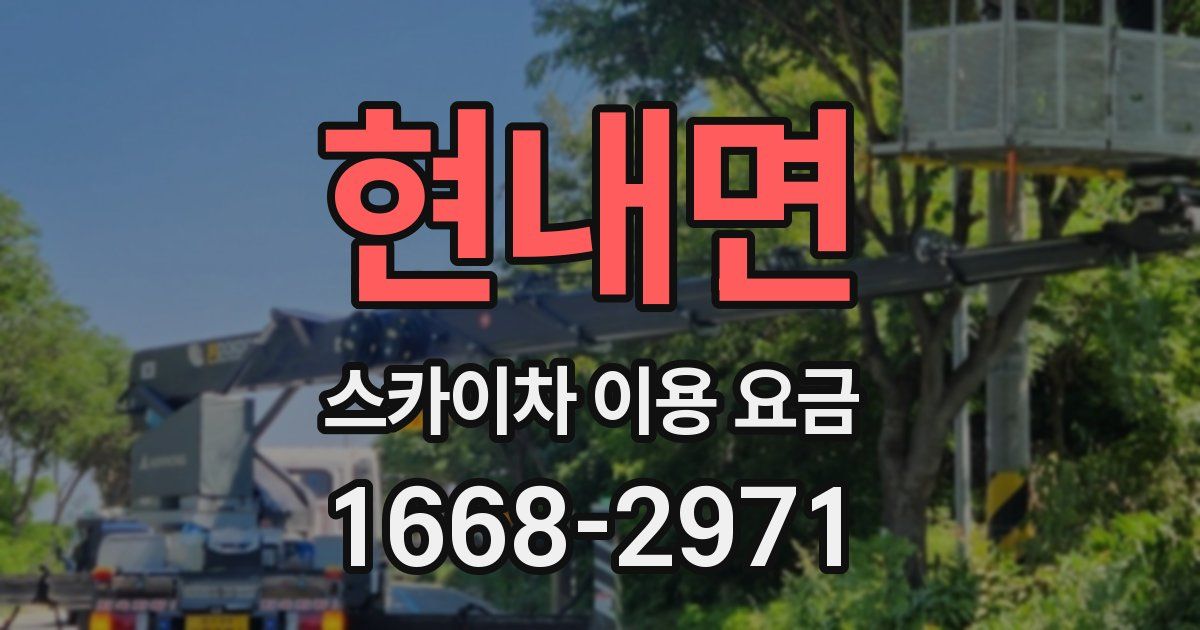 현내면 스카이차 이용 요금