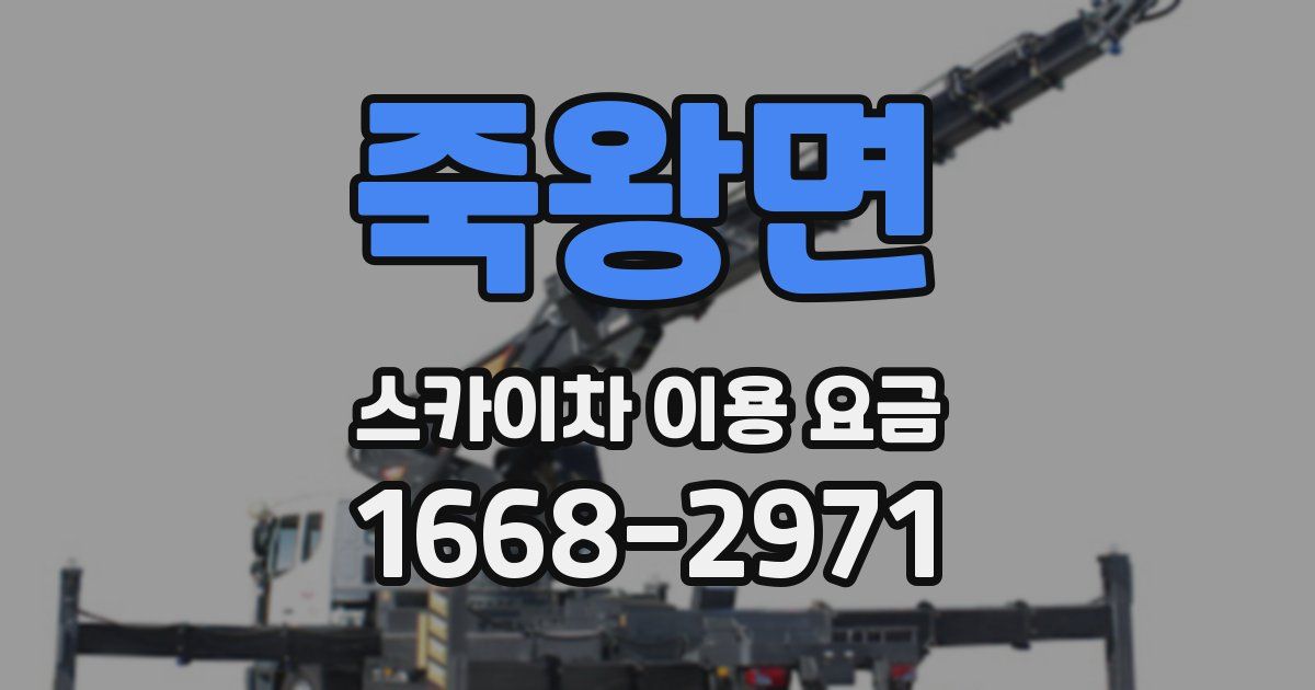 죽왕면 스카이차 이용 요금