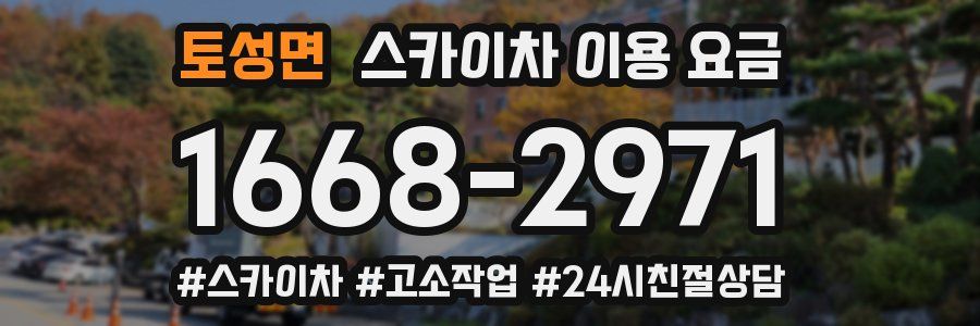 토성면 스카이차 이용 요금