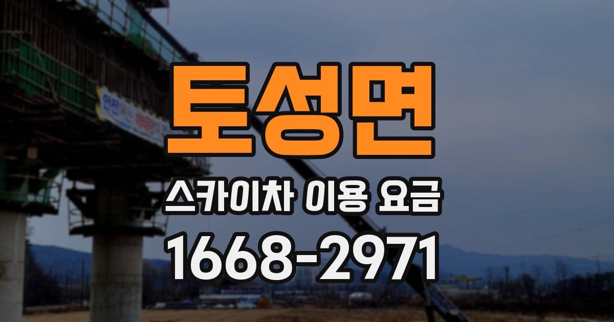 토성면 스카이차 이용 요금