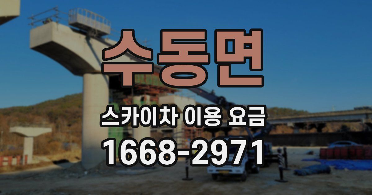 수동면 스카이차 이용 요금