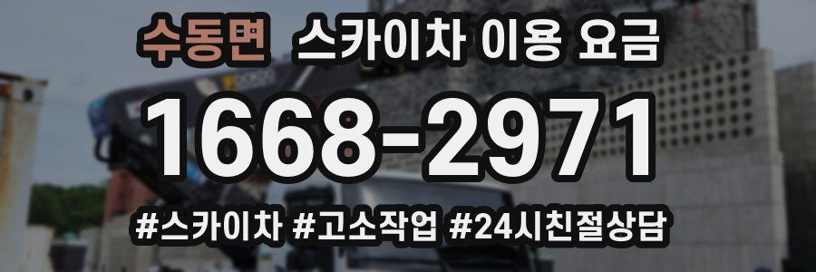 수동면 스카이차 이용 요금