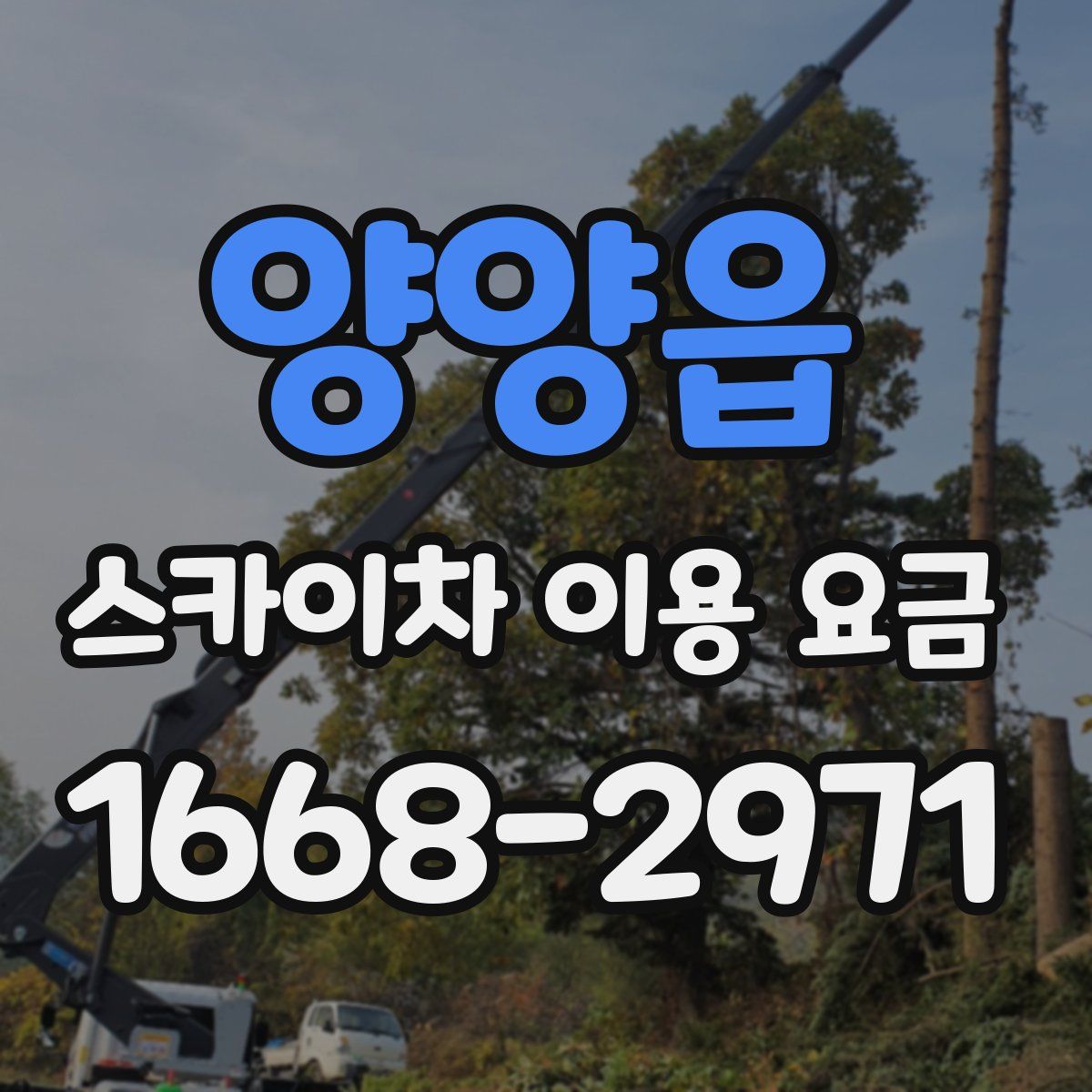 양양읍 스카이차 이용 요금
