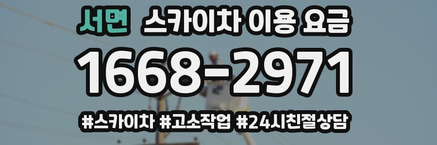 서면 스카이차 이용 요금