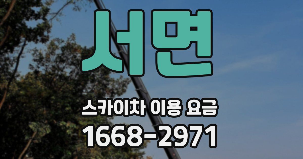 서면 스카이차 이용 요금