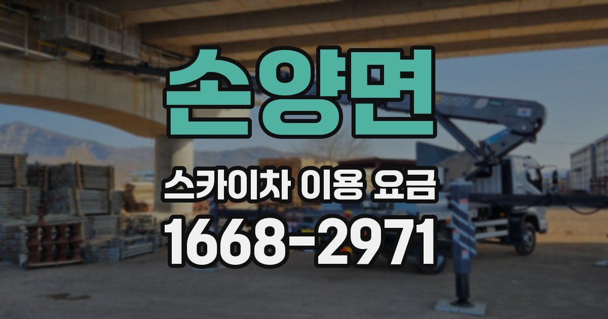 손양면 스카이차 이용 요금