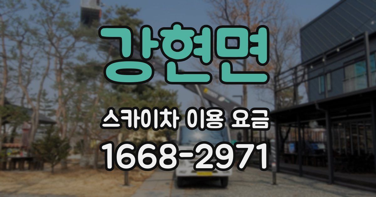 강현면 스카이차 이용 요금