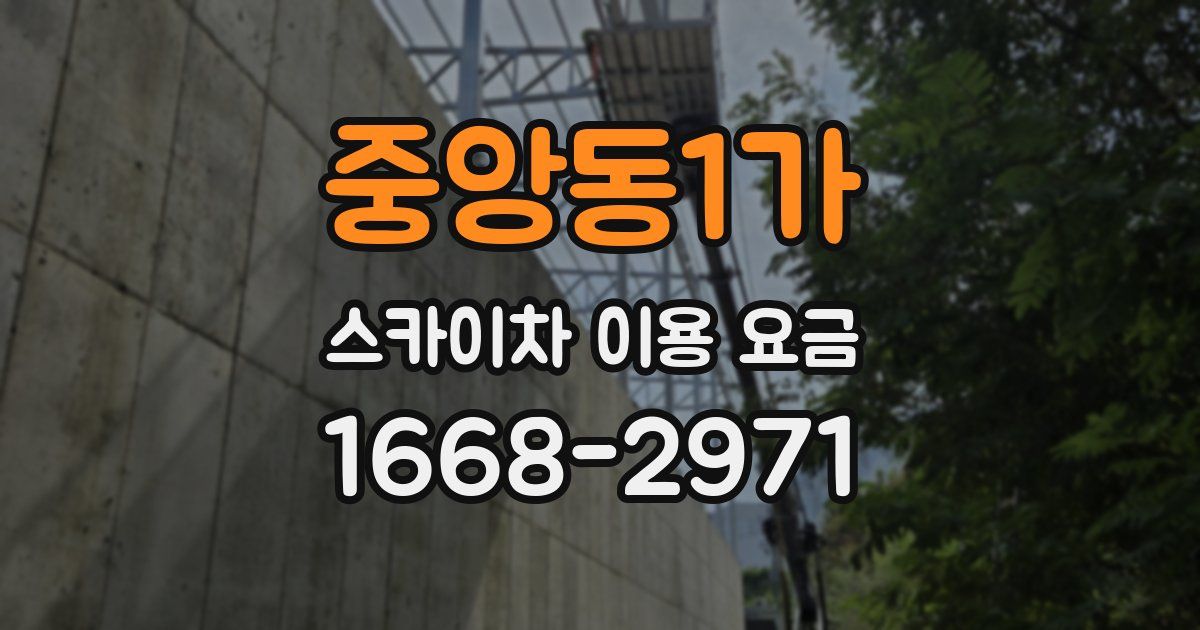중앙동1가 스카이차 이용 요금