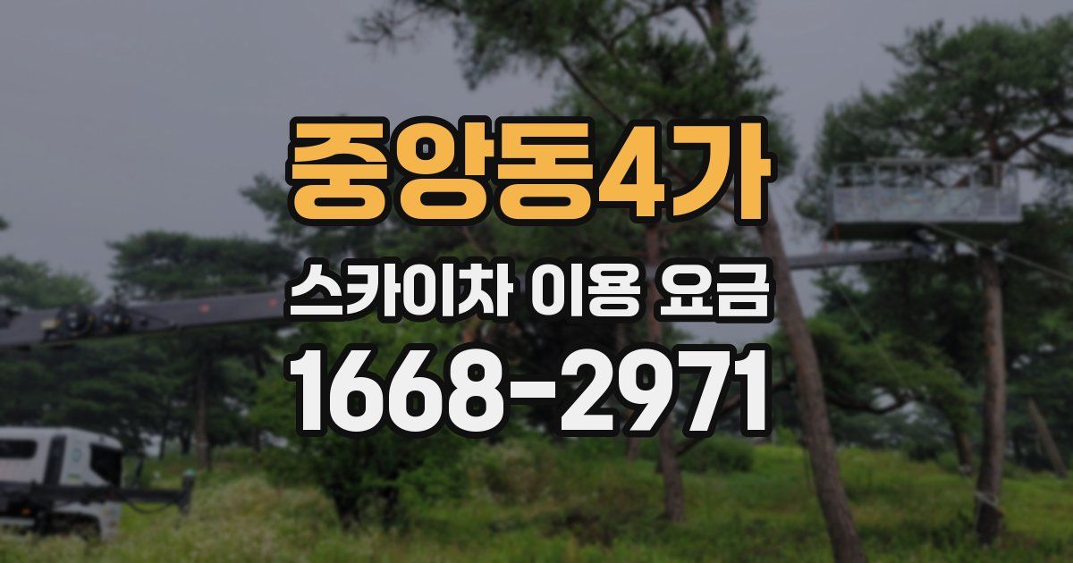 중앙동4가 스카이차 이용 요금