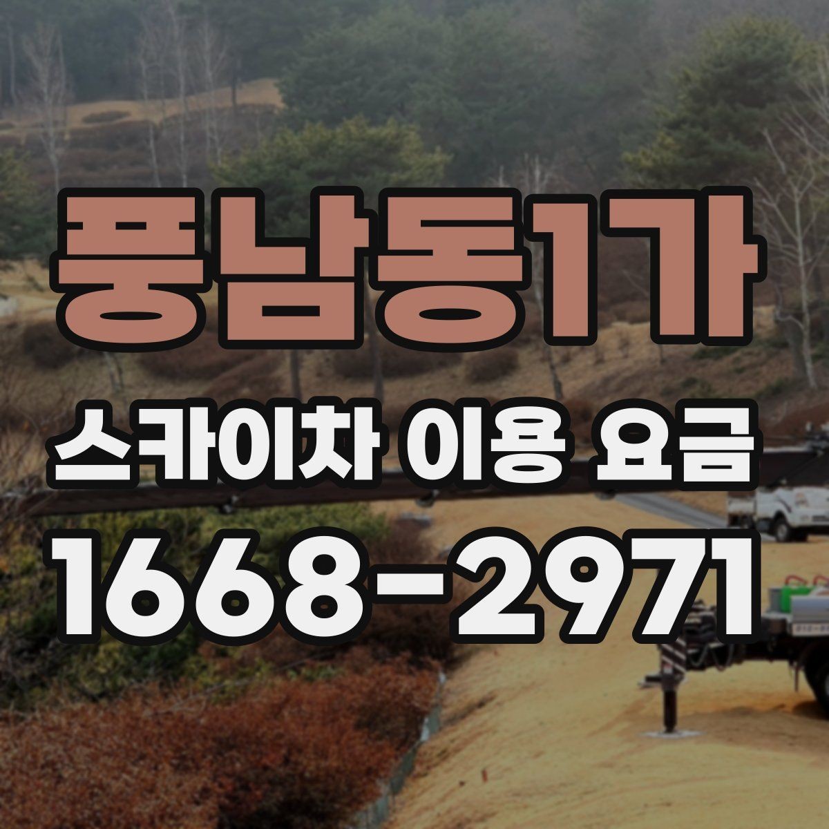 풍남동1가 스카이차 이용 요금 비교할 때 기준이 되는 항목